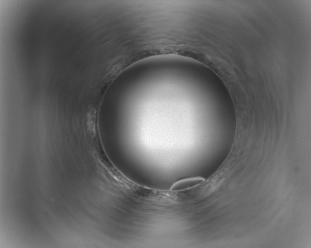 X0000073420768200608111351