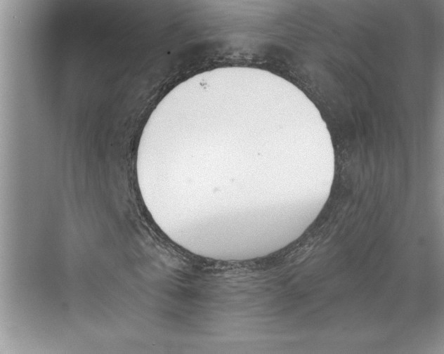 X0000073420769200608111350