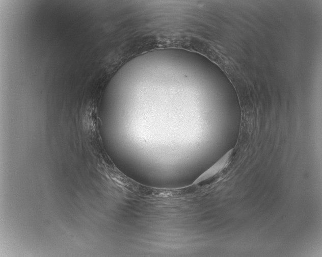 X0000073420770200608111350