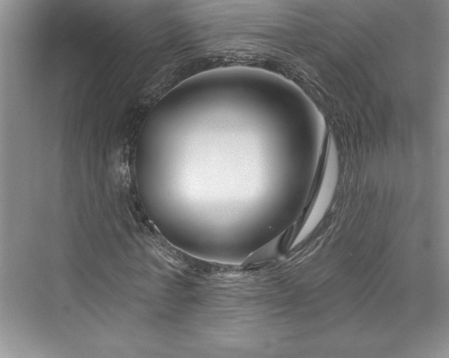 X0000073420771200608111350