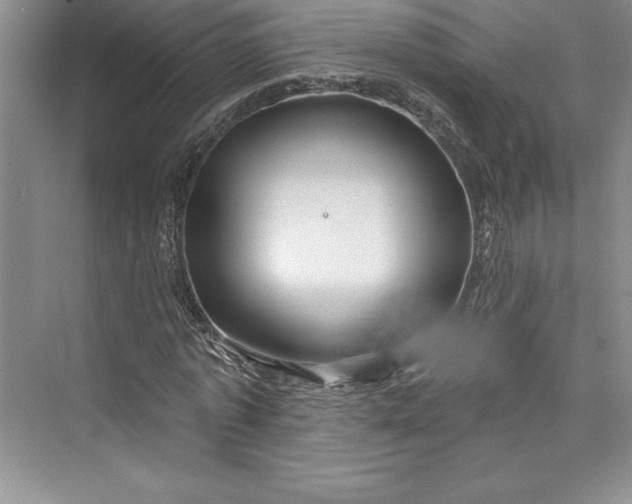 X0000073420773200608111350