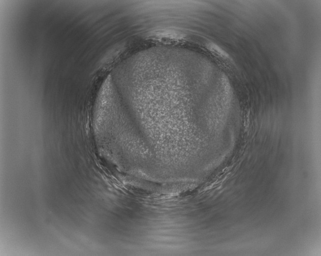 X0000073420774200608111350