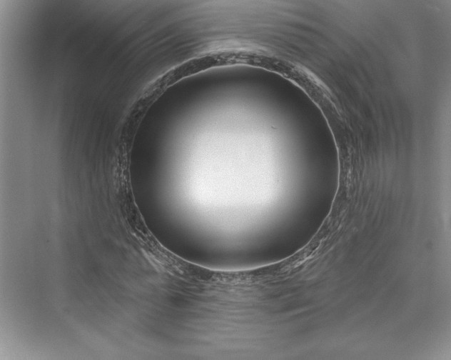 X0000073420775200608111350