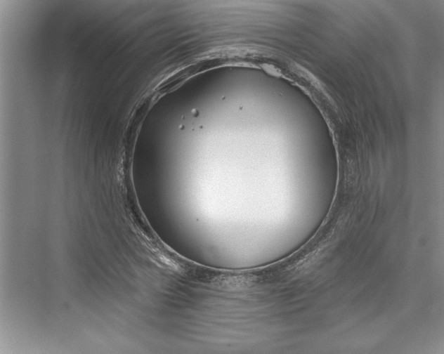 X0000073420778200608111350