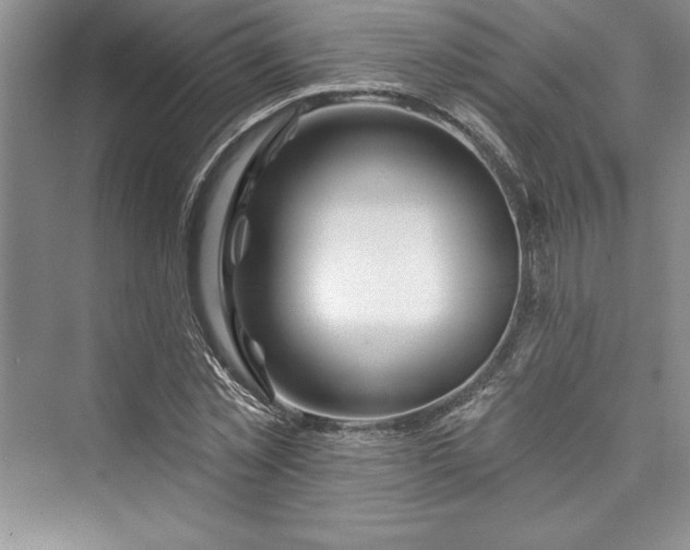 X0000073420781200608111350