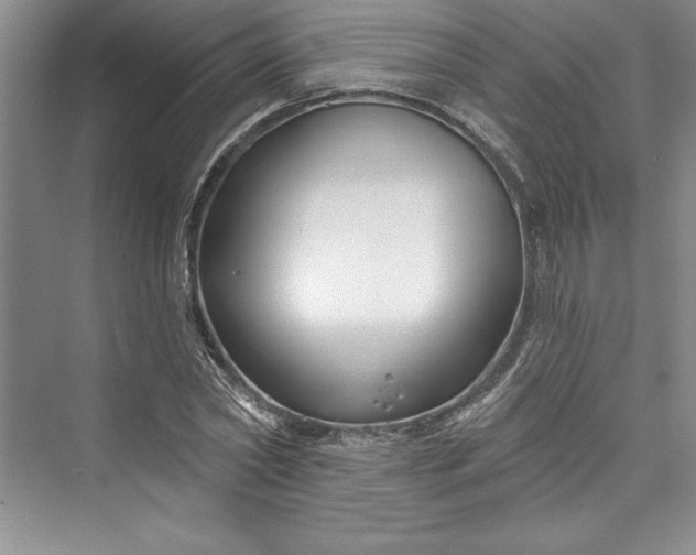 X0000073420782200608111350