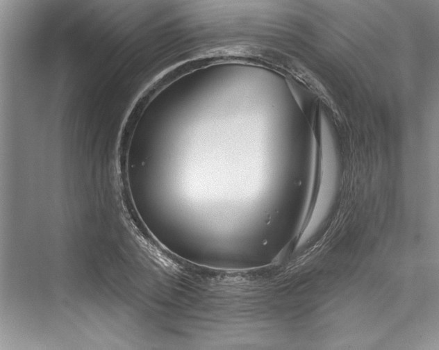 X0000073420784200608111350