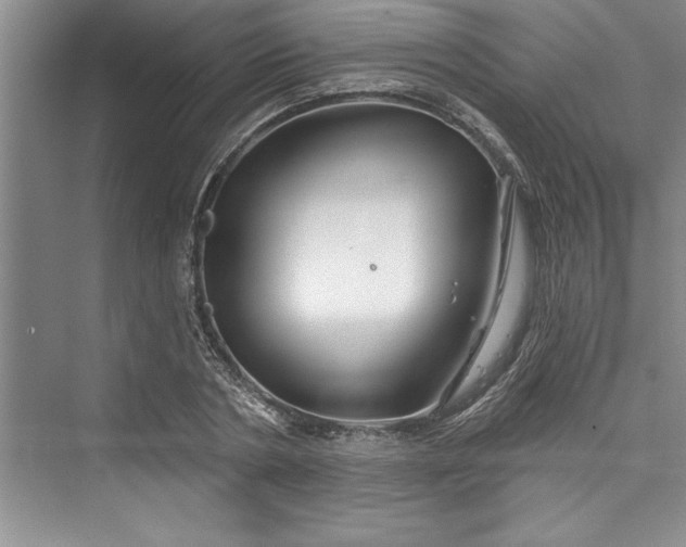 X0000073420786200608111350