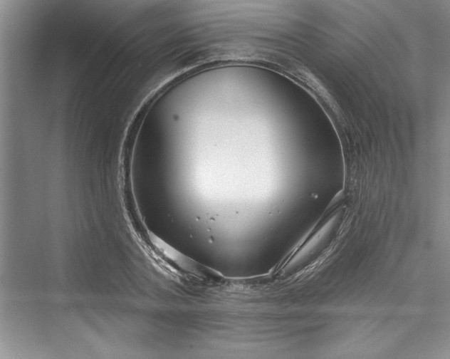 X0000073420787200608111350