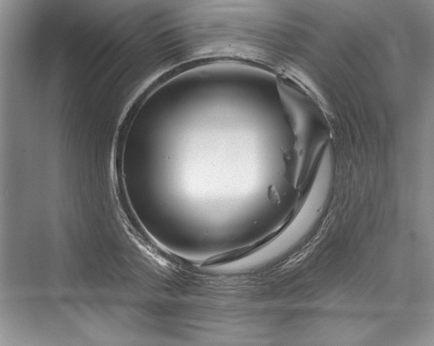 X0000073420788200608111350