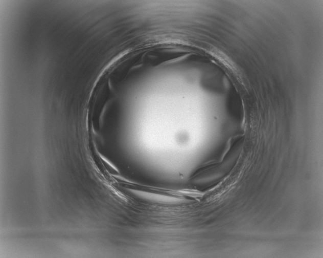 X0000073420790200608111350