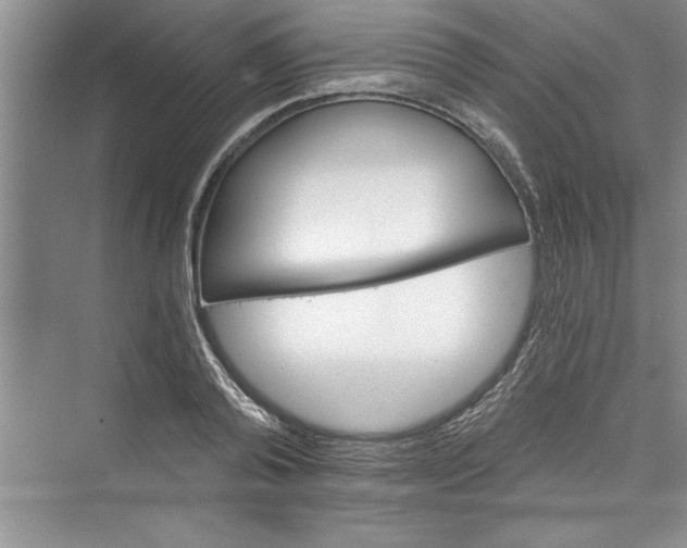 X0000073420792200608111350