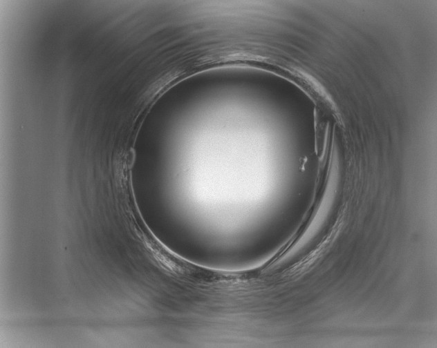 X0000073420793200608111350