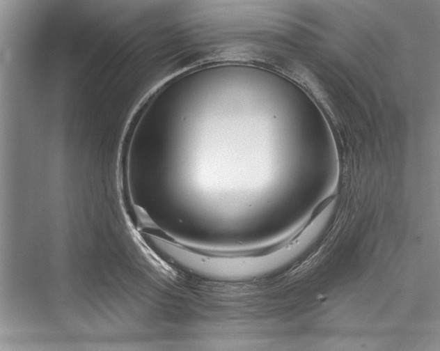 X0000073420795200608111350