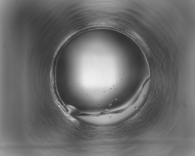 X0000073420796200608111349