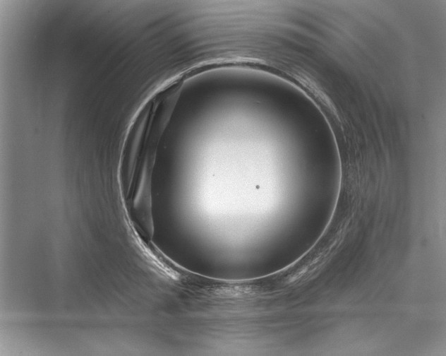 X0000073420797200608111349