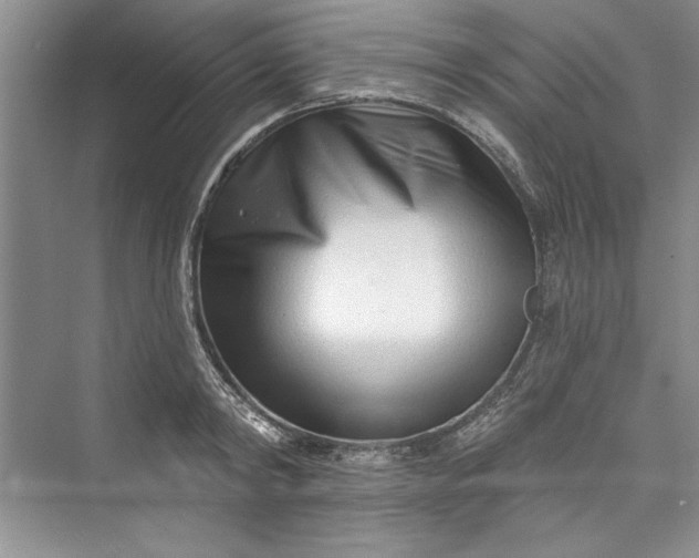 X0000073420798200608111349