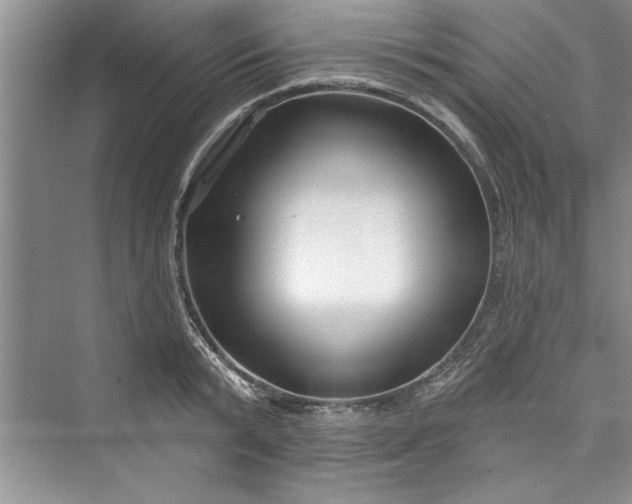 X0000073420799200608111349