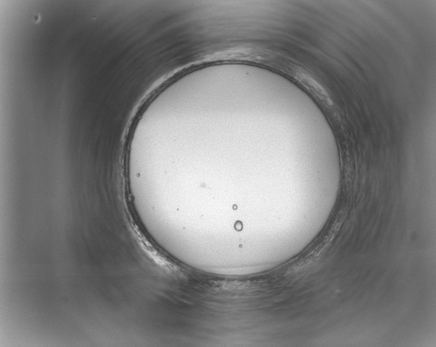 X0000073420800200608111349