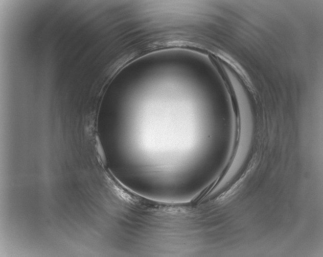 X0000073420801200608111349