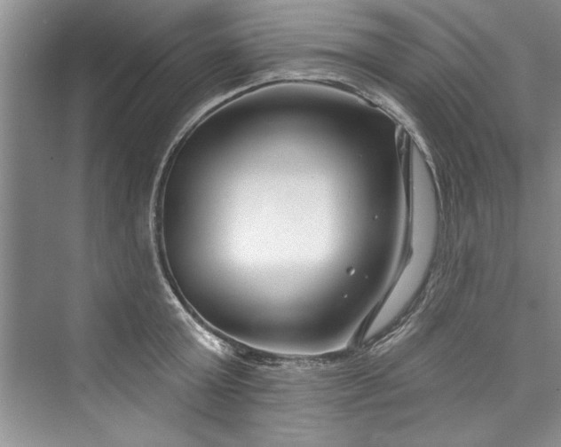 X0000073420803200608111349