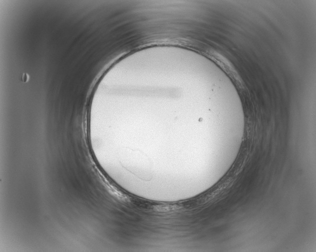 X0000073420804200608111349