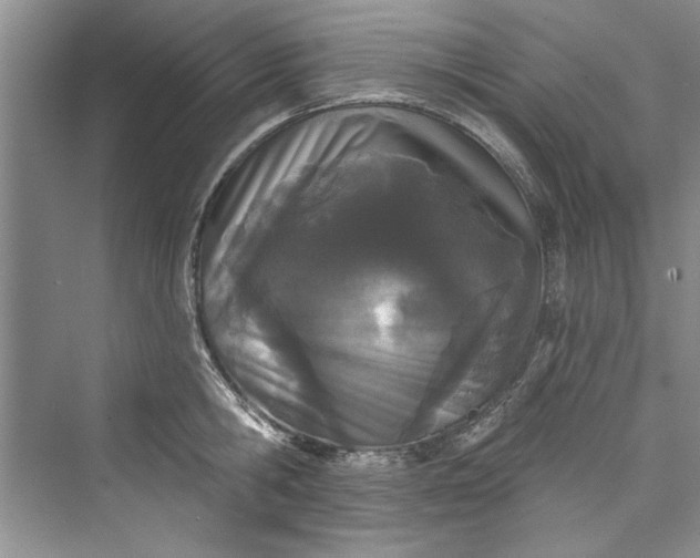 X0000073420806200608111349