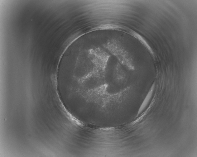 X0000073420810200608111349