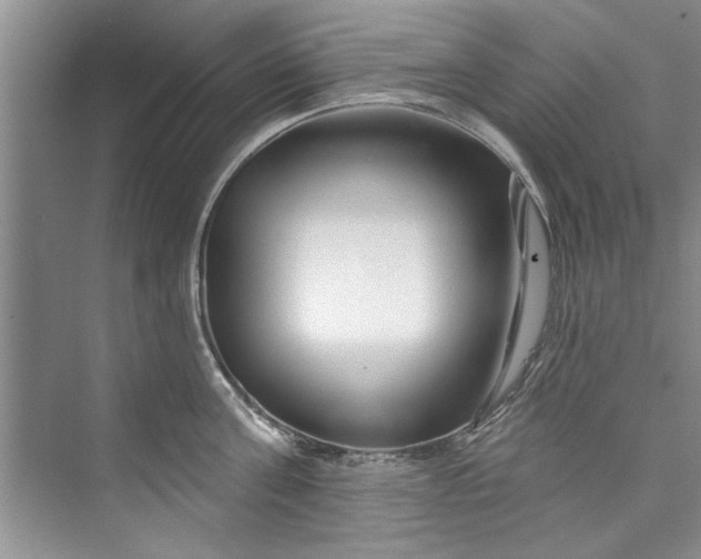 X0000073420811200608111349