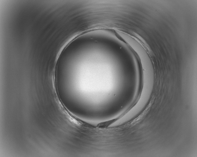 X0000073420812200608111349