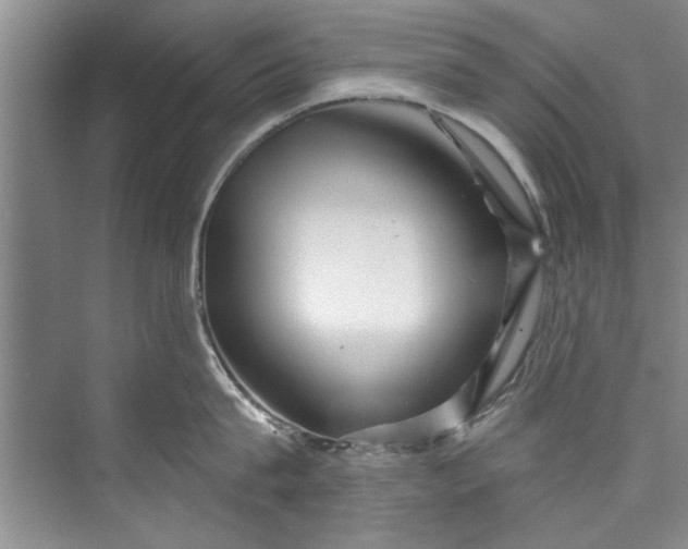 X0000073420815200608111349