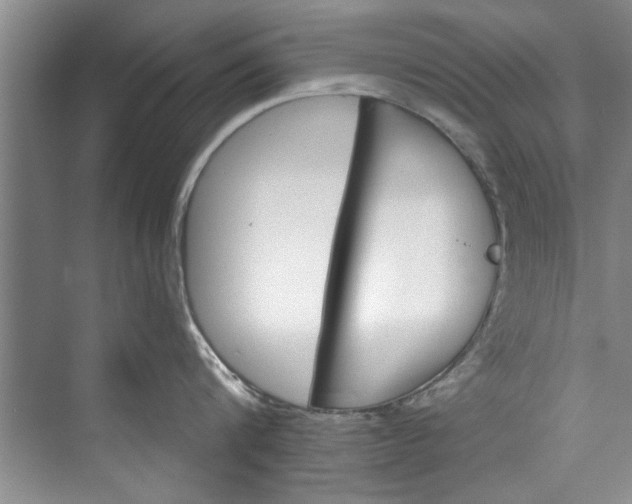 X0000073420816200608111349