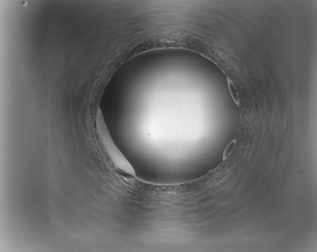 X0000073420817200608111348