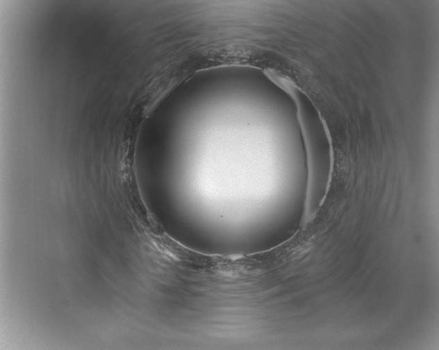 X0000073420818200608111348