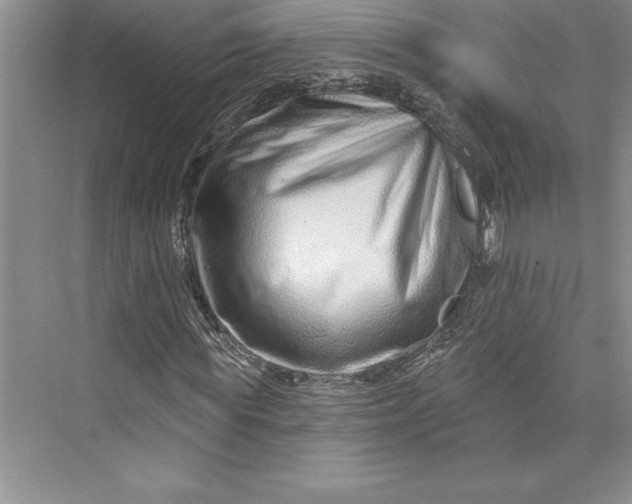 X0000073420819200608111348