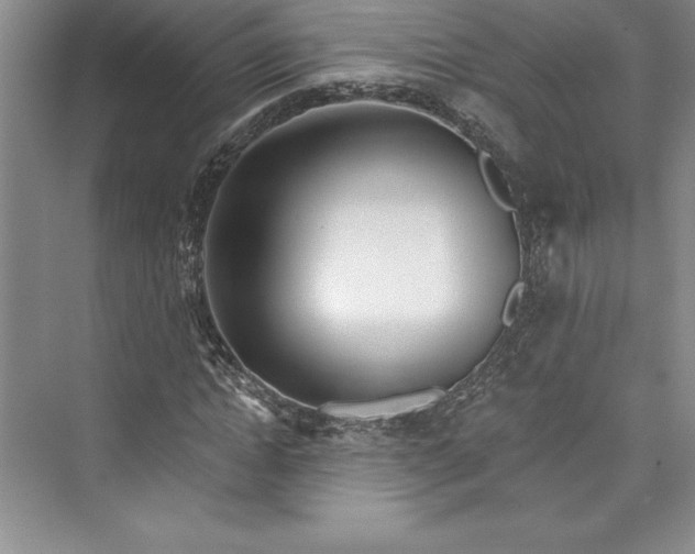 X0000073420822200608111348