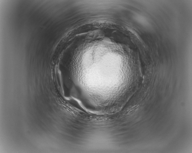 X0000073420823200608111348