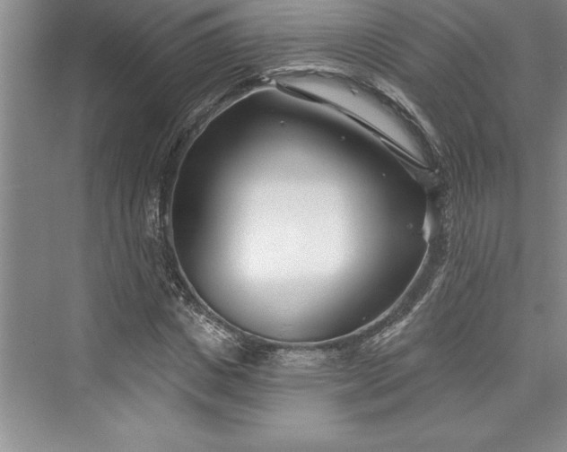 X0000073420825200608111348