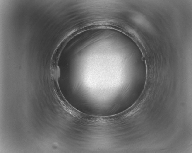 X0000073420827200608111349