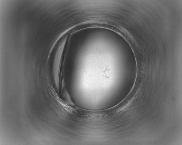 X0000073420830200608111349