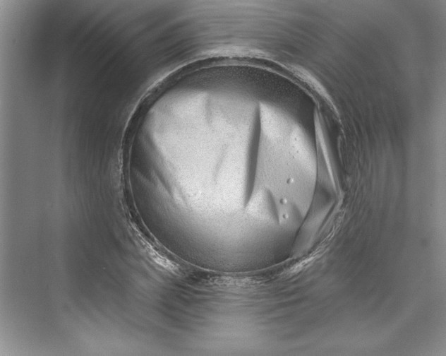 X0000073420831200608111349