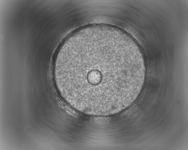 X0000073420832200608111349