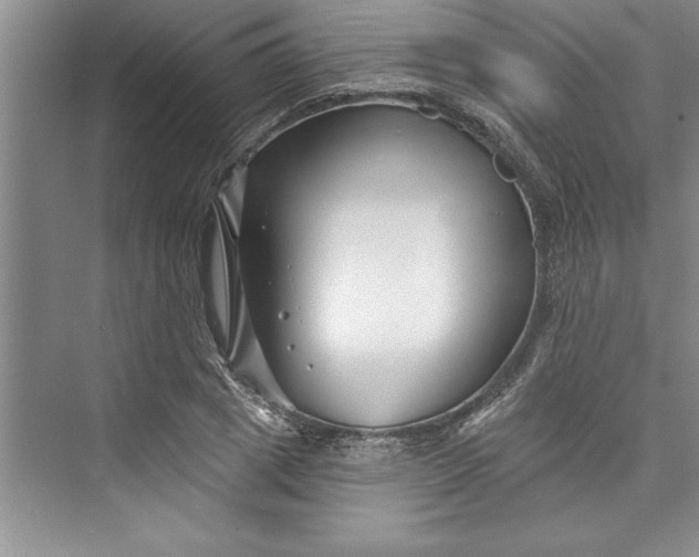 X0000073420833200608111349