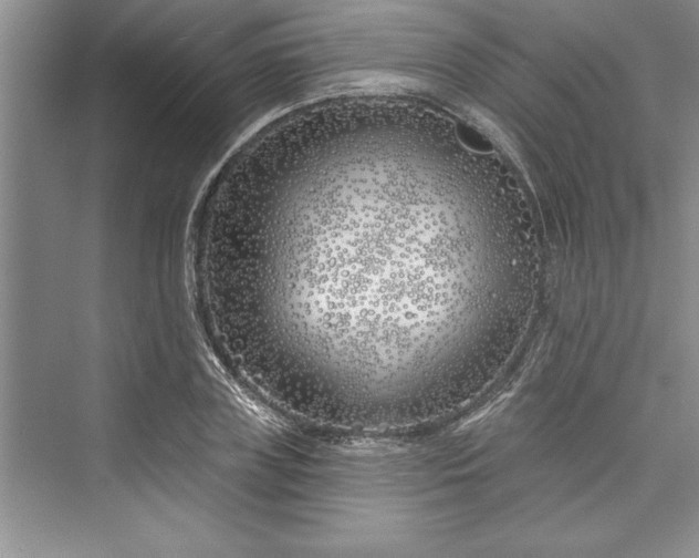 X0000073420835200608111349