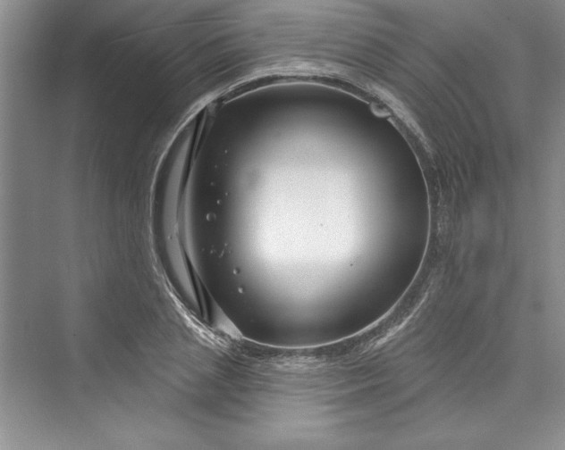 X0000073420837200608111349