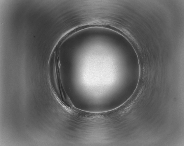 X0000073420838200608111349