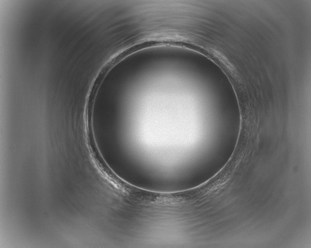 X0000073420840200608111349