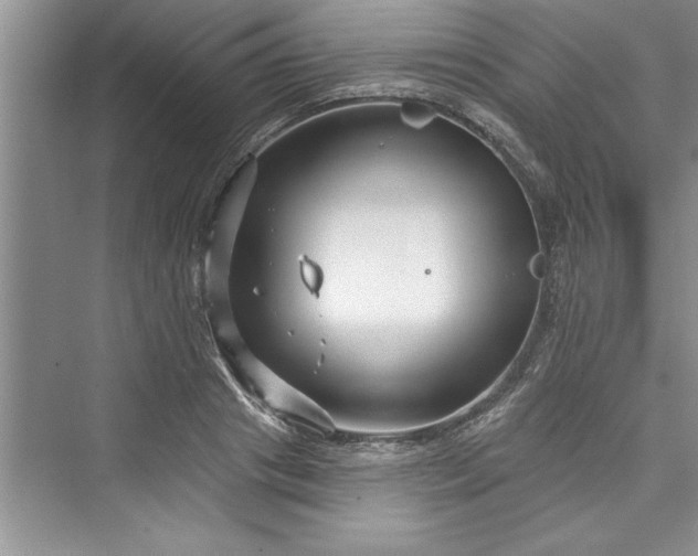 X0000073420841200608111349