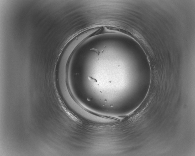 X0000073420842200608111349