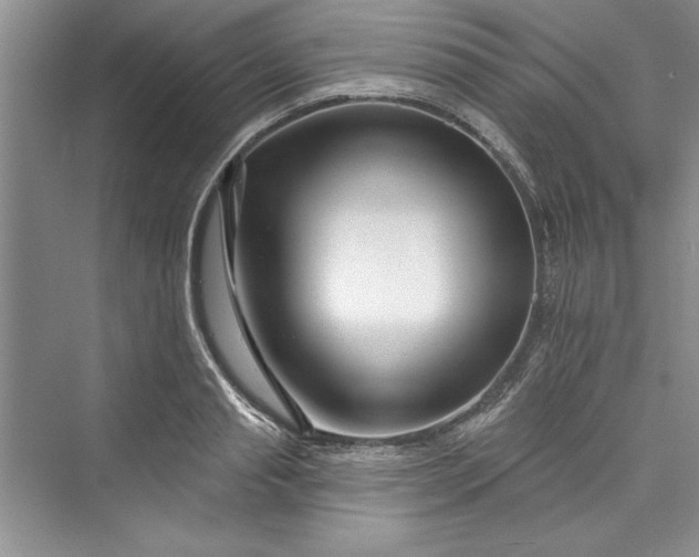 X0000073420845200608111349